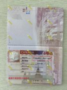 9��26�������ô��C10���γ���